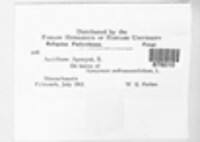 Image Associated With the Occurence